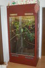 Terrarien Bild - Angebot  - biete gro�es Holzterrarium