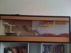 Terrarien Bild - Angebot  - biete selbstgebautes holzterrarium