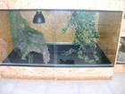 Terrarien Bild - Angebot  - osb holzterrarium