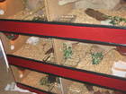 Terrarien Bild - Angebot  - Terrarium 120 x 120 x 50