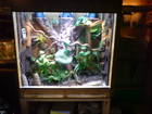 Terrarien Bild - Angebot  - OSB Terrarium 100x60x100 cm mit viel Zubeh�r