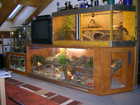 Terrarien Bild - Angebot  - Terrarien in allen gr��en und formen