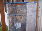 Tiere Bild - Angebot  - Gitterk�fig