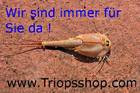 Tiere Bild - Angebot  - Urzeitkrebse,Triops,Krabben,Garlen,Krebse,uvm