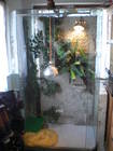 Terrarien Zubeh�r Bild - Angebot  - Terrarium
